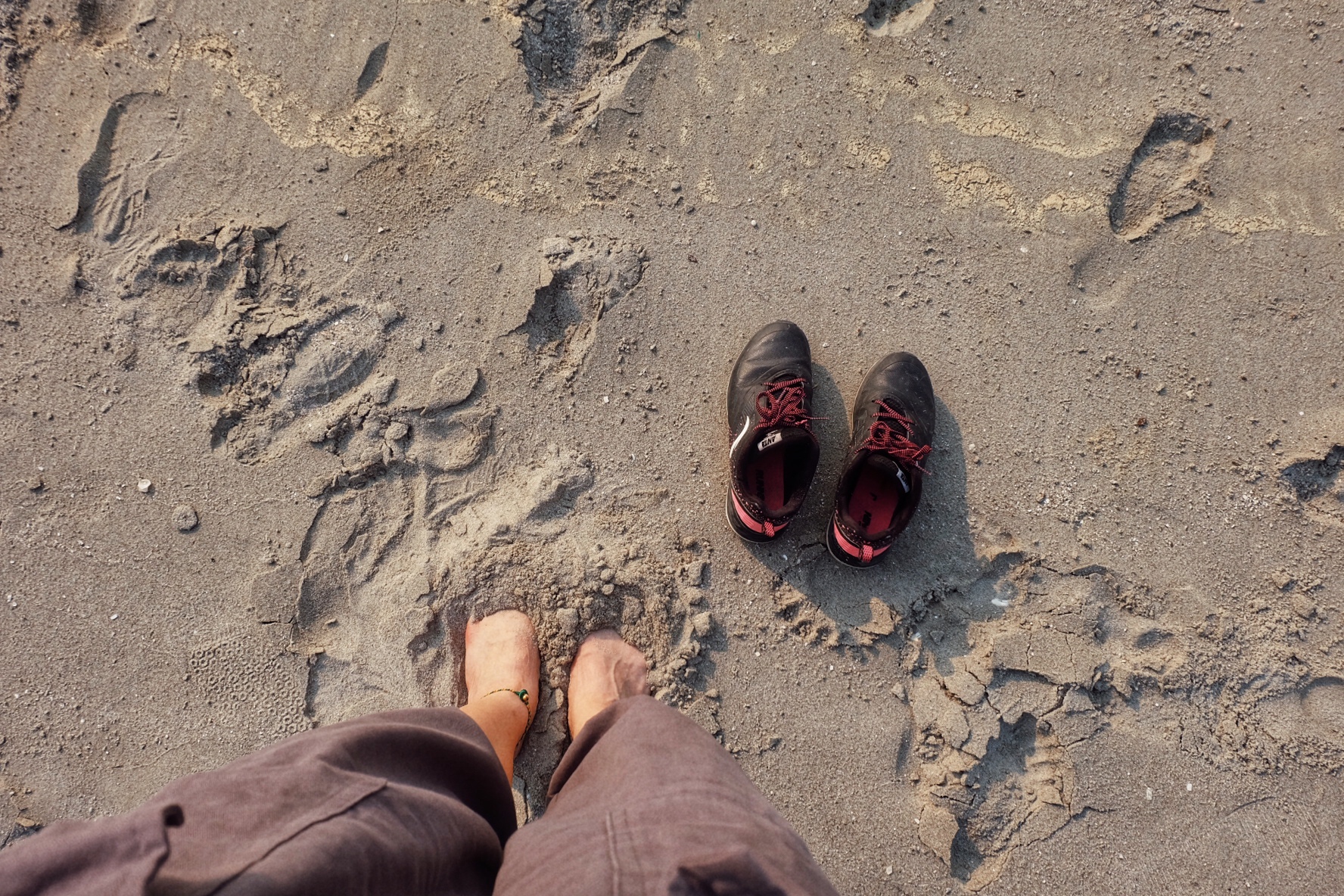 1D9ABE79-F3CE-4EFC-9457-5D4DAFF812A7-2285-000001121F98C1A3